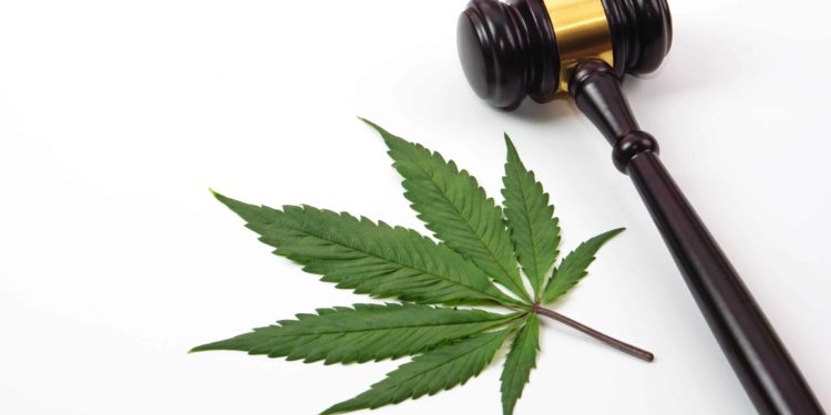 New York Supreme Court Judge Lifts Injunction for Small Number of Cannabis Licenses
