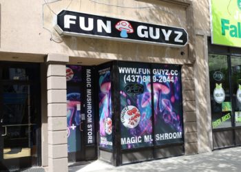 Shroom Shop Raided in Ontario, Canada