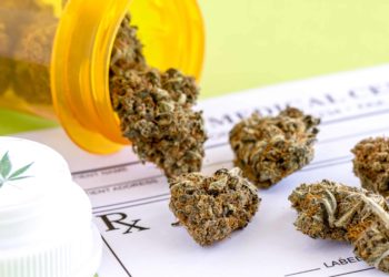 Idaho Activists Continue Drive To Get Medical Cannabis Measure On 2024 Ballot