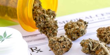 Idaho Activists Continue Drive To Get Medical Cannabis Measure On 2024 Ballot