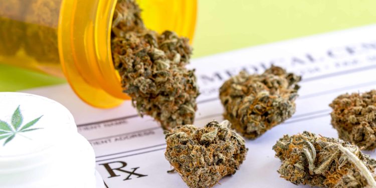 Idaho Activists Continue Drive To Get Medical Cannabis Measure On 2024 Ballot