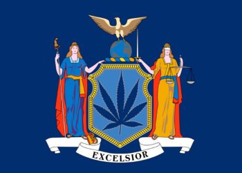 Military Veterans File Suit Against New York’s Cannabis Licensing Rules