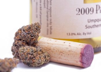 Texas Cannabis Companies’ Economic Impact Predicted To Surpass Wine