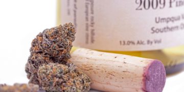 Texas Cannabis Companies’ Economic Impact Predicted To Surpass Wine