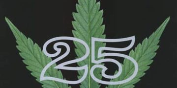 From the Archives: SMASHED! (1999)