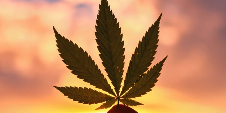 Wisconsin Lawmakers Introduce Bill To Legalize Cannabis