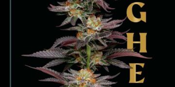 Leafing Through the Lore