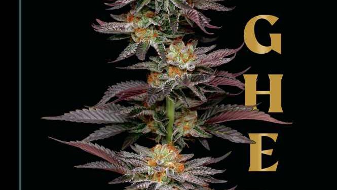 Leafing Through the Lore