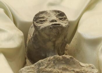 Three-Fingered ‘Alien Corpses’ Unveiled to Mexican Congress Amid Heavy Skepticism