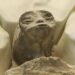 Three-Fingered ‘Alien Corpses’ Unveiled to Mexican Congress Amid Heavy Skepticism