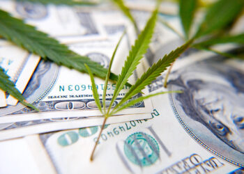 Over Eight Hundred Banks File to Allow Cannabis Businesses, FinCEN Reports