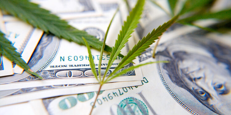 Over Eight Hundred Banks File to Allow Cannabis Businesses, FinCEN Reports