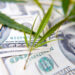 Over Eight Hundred Banks File to Allow Cannabis Businesses, FinCEN Reports