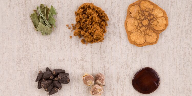 Kentucky Public Hearing Spotlights Testimonies of Ibogaine Patients