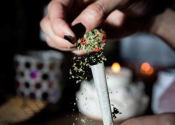 Study Found That 92% of Illegal Cannabis Samples Contained Pesticides