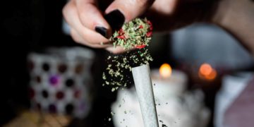 Study Found That 92% of Illegal Cannabis Samples Contained Pesticides