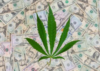 Washington State Pays Out $9.4 Million in Refunds Relating to Drug Convictions