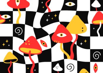 First Meeting Held by Experts From the Hawaiian Psychedelic Task Force