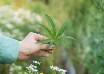 USDA Hemp Handbook Receives Update To Build Hemp Information, Support Conservation Efforts