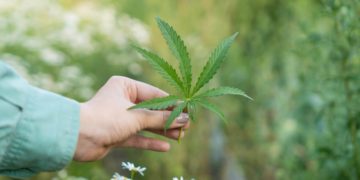 USDA Hemp Handbook Receives Update To Build Hemp Information, Support Conservation Efforts