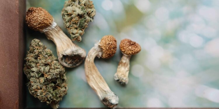 California Gov. Gavin Newsom To Review 17 Cannabis, Psychedelics Bills