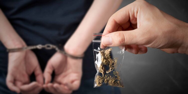 Two People Charged for Pot Every Hour, Every Day in Kentucky, Data Shows