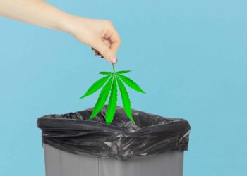 Denmark Parliament Inquiry Shows That 320,862 Pounds of Cannabis Have Been Destroyed