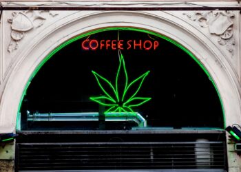 The Netherlands Government Announced a Start Date for Cannabis Pilot Program