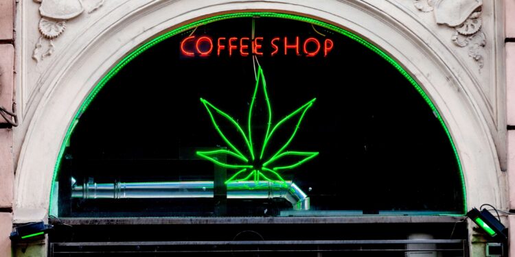 The Netherlands Government Announced a Start Date for Cannabis Pilot Program