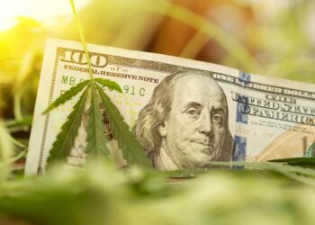Connecticut Cannabis Sales Continue To Rise in August with $25 Million in Sales