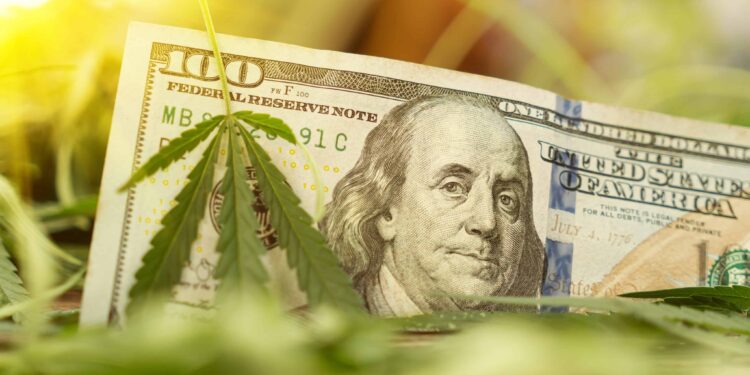 Connecticut Cannabis Sales Continue To Rise in August with $25 Million in Sales