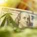 Connecticut Cannabis Sales Continue To Rise in August with $25 Million in Sales