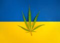 Ukrainian Immigrants Open Dispensary in West Virginia