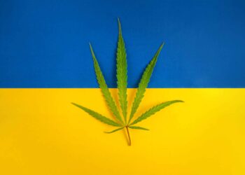 Ukrainian Immigrants Open Dispensary in West Virginia