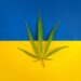 Ukrainian Immigrants Open Dispensary in West Virginia