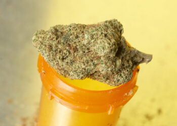 Nebraska Advocacy Group Continues Pushing for Medical Cannabis Legalization