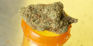 Nebraska Advocacy Group Continues Pushing for Medical Cannabis Legalization