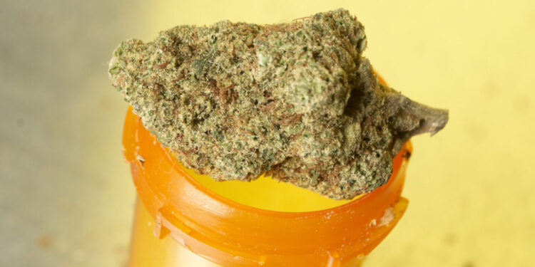 Nebraska Advocacy Group Continues Pushing for Medical Cannabis Legalization