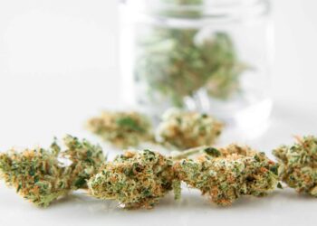 New York Cannabis Regulators Expand Licenses to Disabled Vets, Women, Minorities