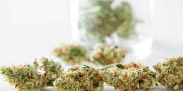 New York Cannabis Regulators Expand Licenses to Disabled Vets, Women, Minorities