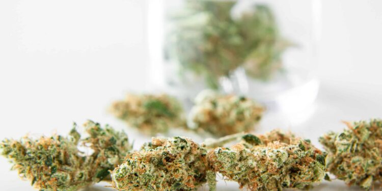 New York Cannabis Regulators Expand Licenses to Disabled Vets, Women, Minorities