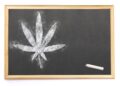 Is Weed Education Resonating With the Public?
