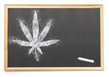 Is Weed Education Resonating With the Public?