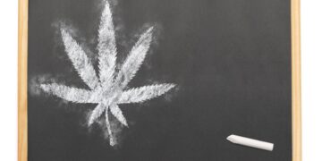 Is Weed Education Resonating With the Public?