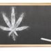 Is Weed Education Resonating With the Public?
