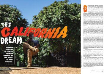 The California Dream