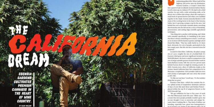 The California Dream