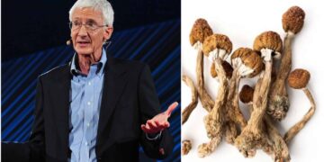Roland Griffiths, Pioneer of Johns Hopkins Psilocybin Studies Dead at 77