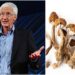 Roland Griffiths, Pioneer of Johns Hopkins Psilocybin Studies Dead at 77