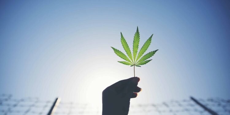 Last Prisoner Project’s State of Cannabis Justice Report Highlights Sobering Realities